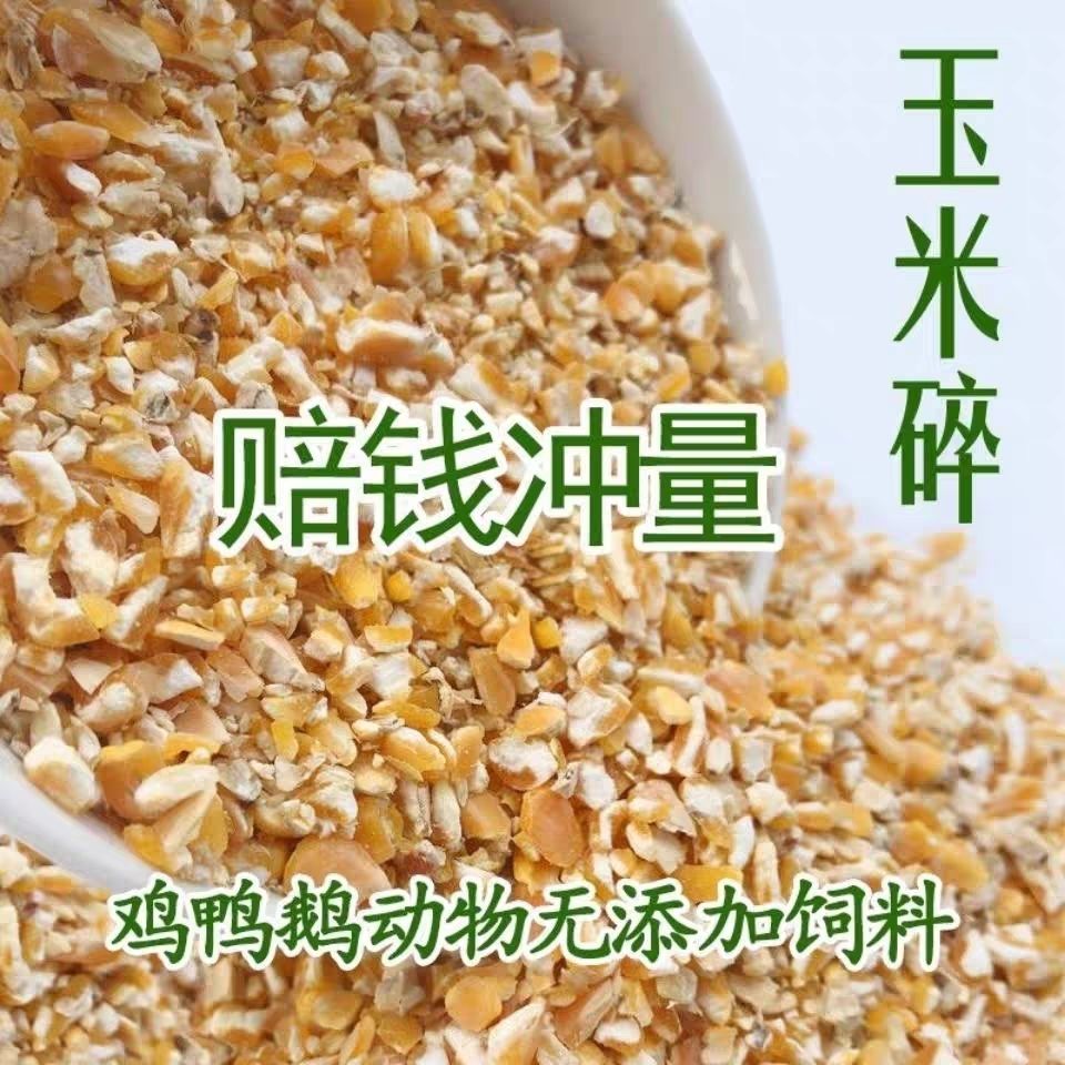 碎玉米鸡饲料喂鸡鸭鹅养殖户专用