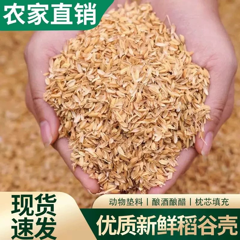 新鲜稻壳饲料东北原产地批发走量