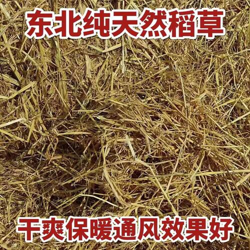 新天然干稻草秸秆干燥东北原产地