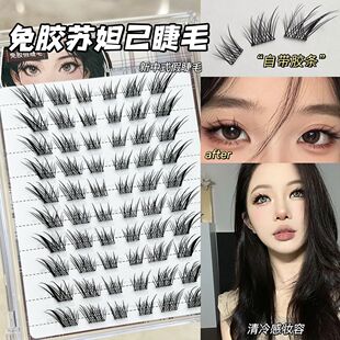 免胶苏妲己中式狐系假睫毛仿真睫毛斜飞浓密分段自然单簇漫画大眼