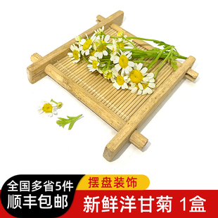 饰点缀材料 新鲜洋甘菊1盒 小白菊西餐日料冷艺烘焙新鲜花草摆盘装