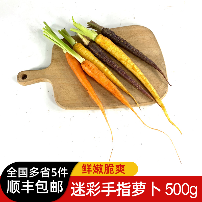 去叶迷彩手指萝卜500g 彩色迷你小胡萝卜 西餐蔬菜沙拉菜 5件包邮 水产肉类/新鲜蔬果/熟食 萝卜/胡萝卜 原图主图