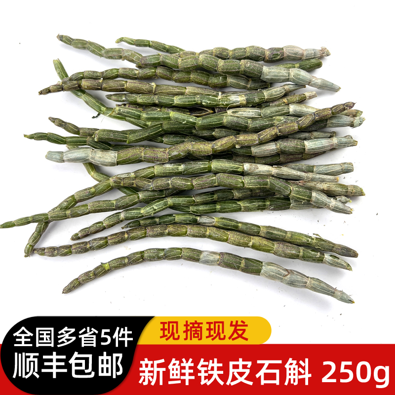 新鲜铁皮石斛250g 煲汤泡茶榨汁食材 铁皮鲜条 满5件包邮 水产肉类/新鲜蔬果/熟食 其它 原图主图