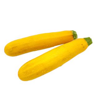 新鲜黄节瓜500g黄西葫芦茄瓜毛瓜热炒凉拌全国多省5件包邮