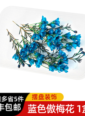 蓝色傲梅花1盒 酒店西餐日料冷艺烘焙花草摆盘装饰材料 5件包邮