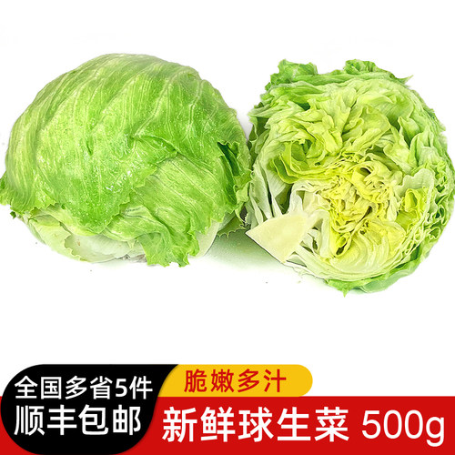 新鲜球生菜汉堡三明治沙拉菜