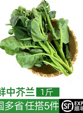 新鲜芥兰500g 中花芥蓝 芥兰 新鲜时鲜蔬菜 满5件包邮