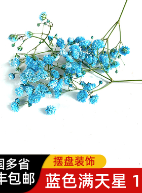 新鲜蓝色满天星5g/盒 餐饮装饰花草西餐日料冷菜摆盘 顺丰包邮