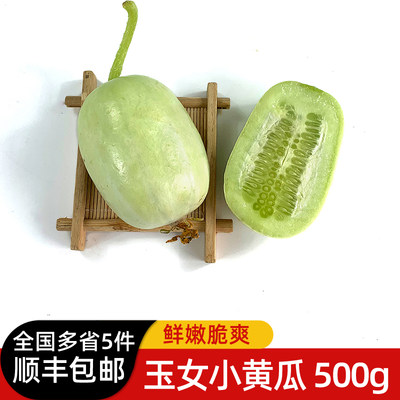 玉女小黄瓜500g 小青瓜拇指水果黄瓜新鲜蔬菜迷你瓜清脆 5件包邮