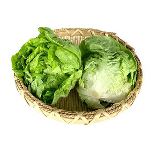 奶油生菜250g 新鲜蔬菜沙拉食材 西餐配菜 波士顿生菜