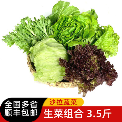 新鲜生菜SYL新鲜生菜组合3.5斤