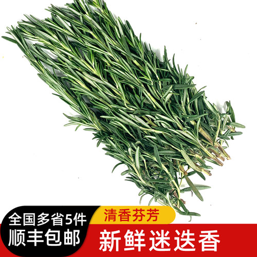 新鲜迷迭香100g迷失香牛排可食用