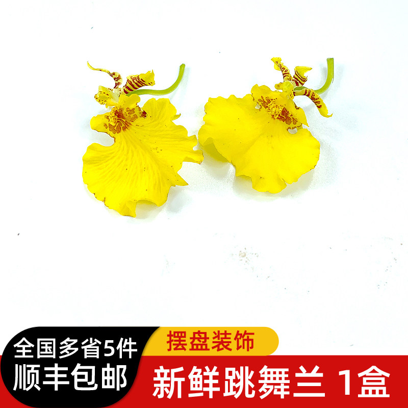 新鲜金蝶兰跳舞兰20朵左右1盒文心兰西餐烘焙装饰摆盘花草5件包邮