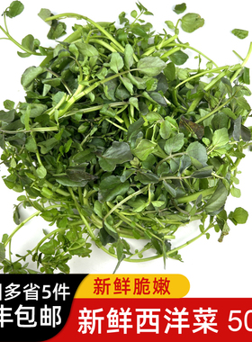 新鲜西洋菜 豆瓣菜 凉菜 时鲜蔬菜 5件包邮