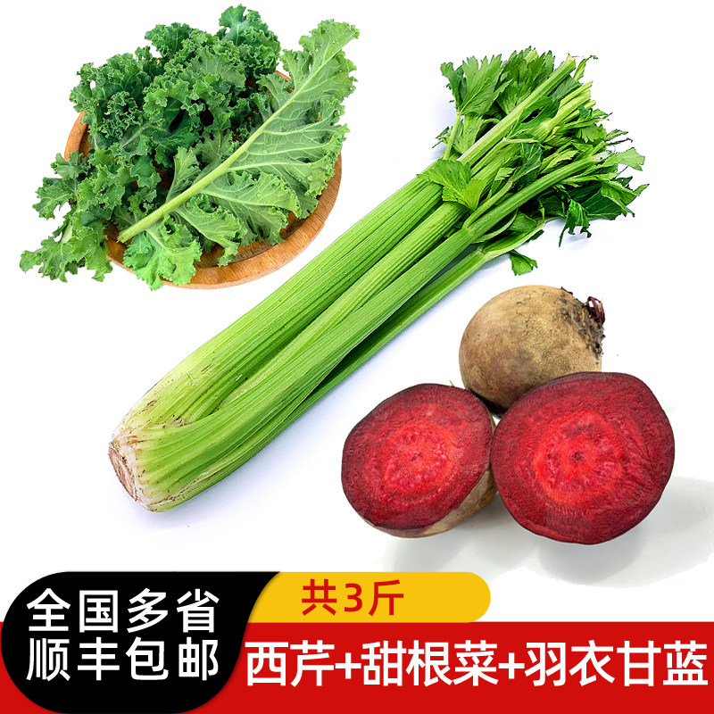 新鲜蔬菜榨汁套餐3斤 西芹羽衣甘蓝甜根菜组合 西餐果蔬汁食材