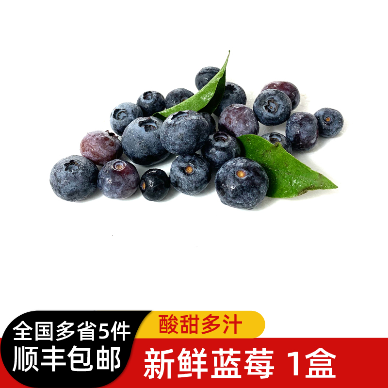 新鲜蓝莓鲜果1盒 现摘美味浆果水果辅食材料 多省任搭5件顺丰包邮 水产肉类/新鲜蔬果/熟食 蓝莓 原图主图