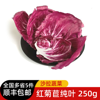 新鲜红菊苣叶子250g 落地红球生菜 新鲜蔬菜西餐配菜沙拉食材