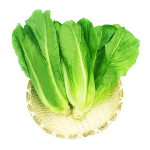 散叶罗马生菜500g 新鲜蔬菜罗纹凯撒生菜西餐沙拉食材