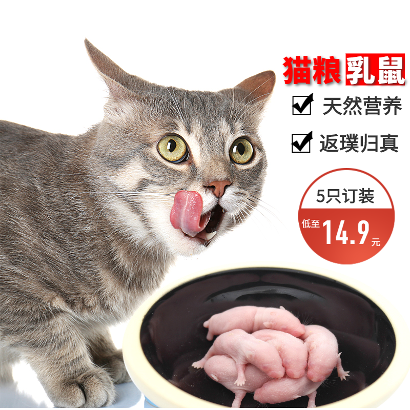 天然牛磺酸生肉乳鼠小猫咪粮高蛋白幼猫孕发腮零食小白鼠肉干包邮,宠物/宠物食品及用品,猫零食罐,淘宝优惠券,粉丝福利购,淘宝优惠卷