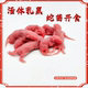 活体乳鼠喂玉米苗开食角蛙苗子猫饭小白鼠活饵爬宠饲料爬虫红粉