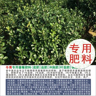 50斤誉中奥卫矛冬青专用有机肥复合肥底肥追肥冲施肥叶面肥水溶肥