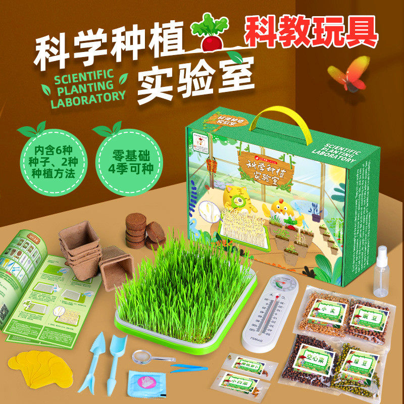 小学生儿童植物种植观察小盆栽种子发芽生长科学实验套装diy玩具