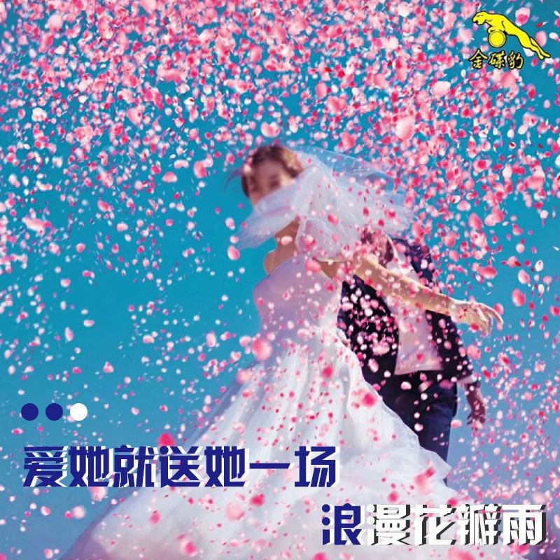 速发花瓣雨礼花结婚用品礼花筒手持礼炮礼宾花开业庆典道具