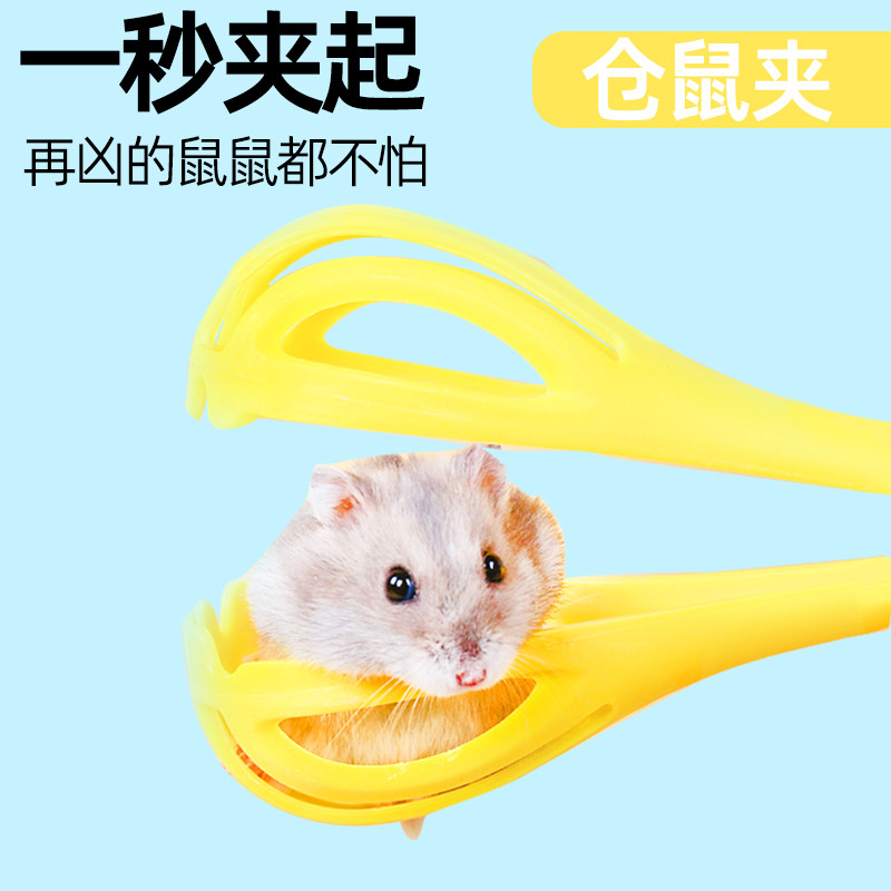 速发仓鼠夹用小仓鼠神器金丝熊全活造景安生互动夹养仓鼠抓品