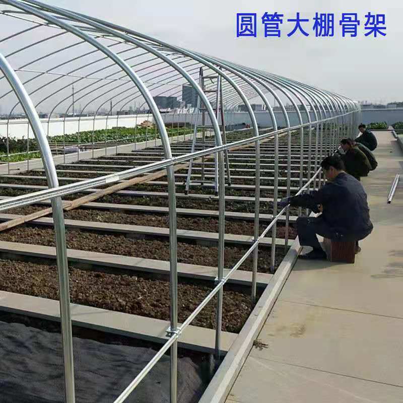 速发养殖温室大棚全套骨猪管t圆钢管架牛羊鸡鸭鹅暖棚蔬菜圆椭大