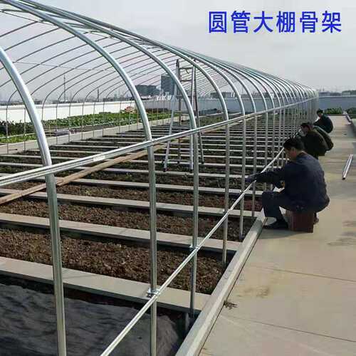 速发养殖温室大棚全套骨猪管t圆钢管架牛羊鸡鸭鹅暖棚蔬菜圆椭大