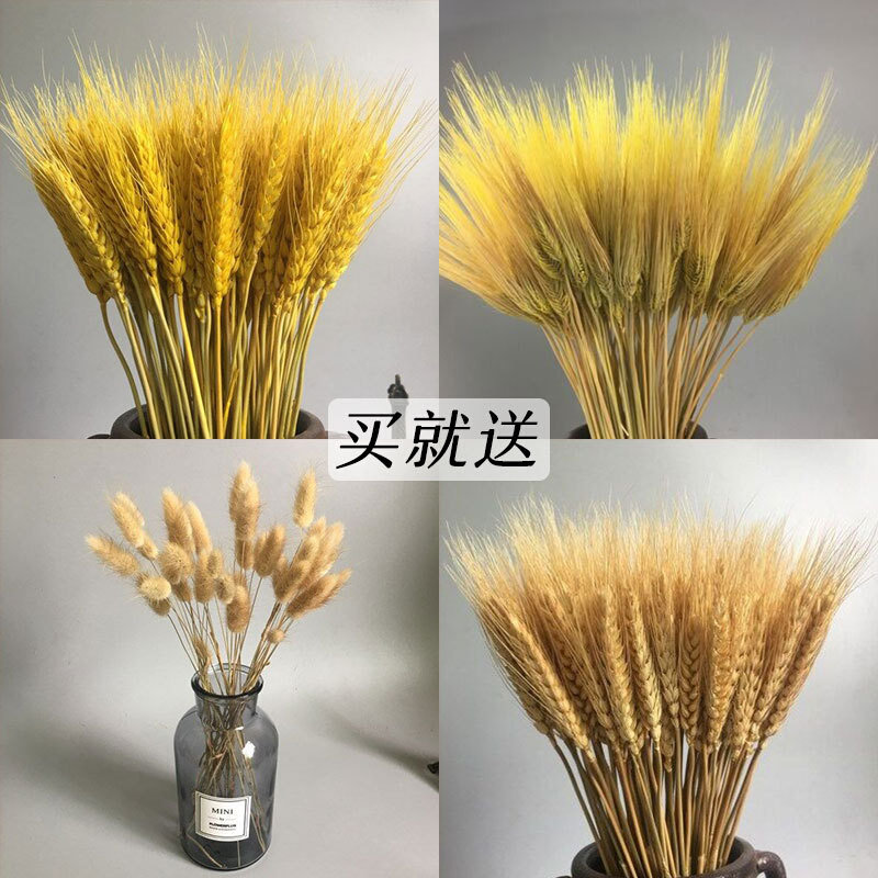 速发干花花束麦穗开业大麦真稻穗兔尾草薰衣草情人草田园装饰道具