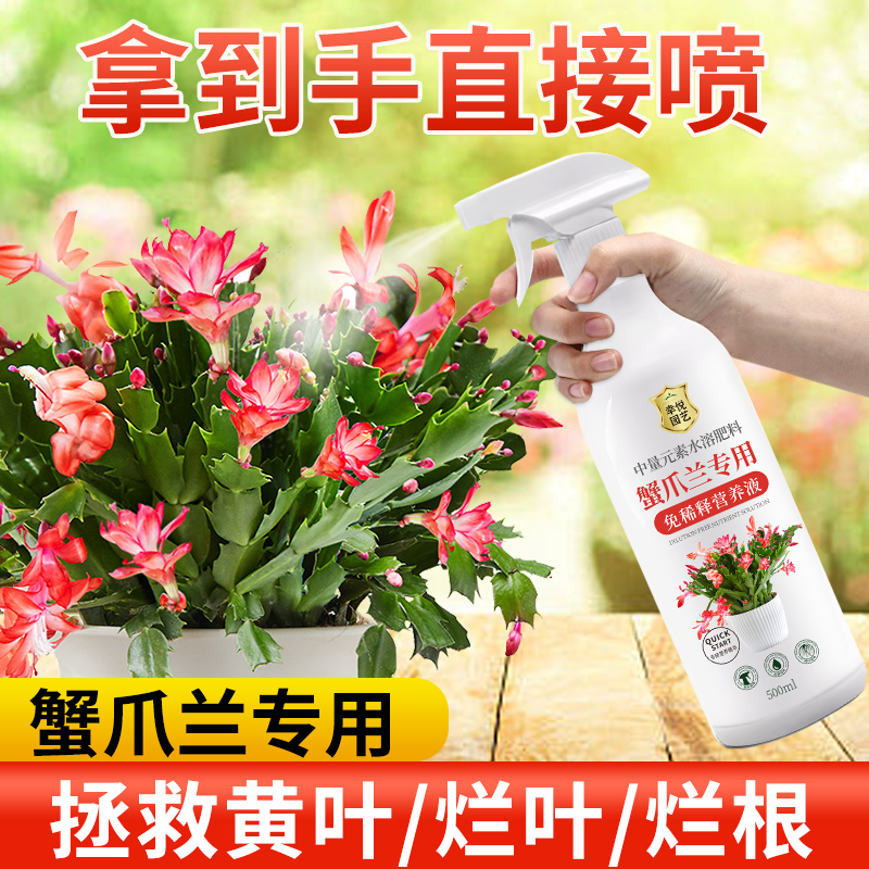 速发蟹爪面营养液免稀释开花肥花肥蟹爪莲肥料喷施兰叶肥盆栽