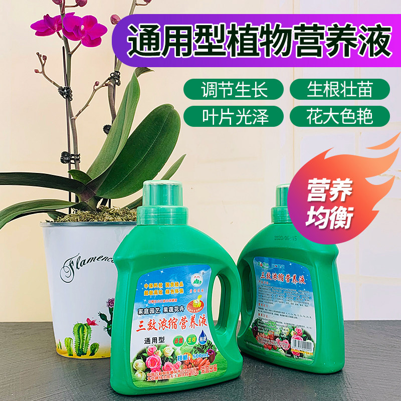 现货鲜花营养液植物通用型v兰花绿萝发财树无土栽培富贵竹专用水