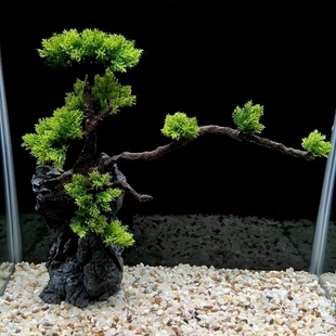 速发水缸箱造景套餐假山水景组合后草大款沉木迎客松鱼族装饰摆件