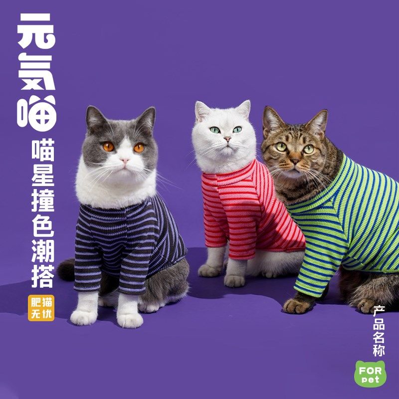 速发元気喵丨ze衣e条纹冬季保暖打底衫撞色猫咪z服掉防毛冬天
