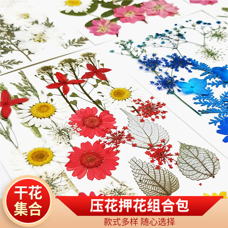 速发干花压花组合包材料包儿童手工材料 押花真花压花真树叶标本