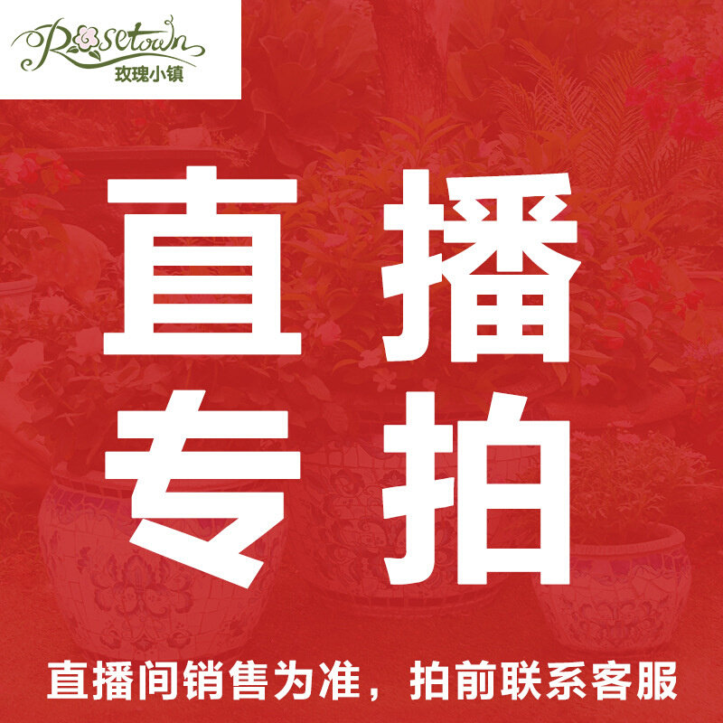 速发3WKF庭院汀步石踏脚石脚踏石踏步石花园墙壁装饰 一物两