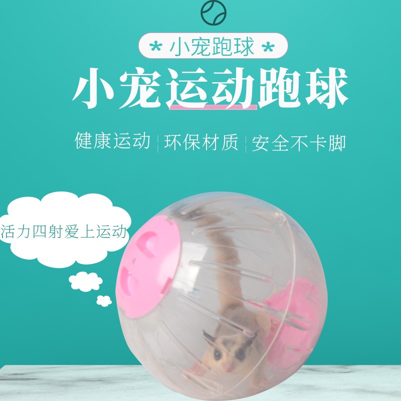 速发蜜动金跑球玩具仓鼠刺猬大号透明滚球松鼠鼯丝熊运袋用品
