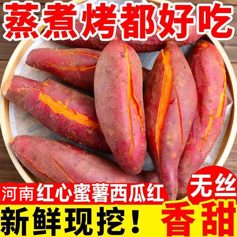 河南特产商用摆摊烤红薯溏心地瓜