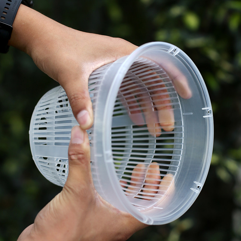 花盆塑料透气镂空大号花盆家用透明青山控根盆兰花水苔蝴蝶兰专用,鲜花速递/花卉仿真/绿植园艺,花盆,淘宝优惠券,粉丝福利购,淘宝优惠卷