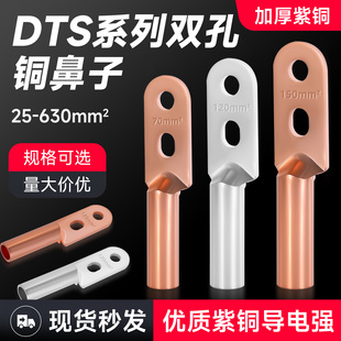 630平方 雙孔銅鼻子紫銅線耳雙眼接線端子DTS