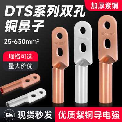 双孔铜鼻子紫铜线耳双眼接线端子