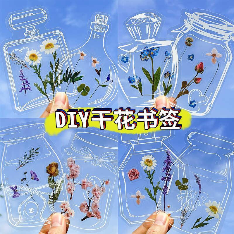 干花书签透明标本瓶子里的春天自制压花植物花小学生手工diy材料玻璃瓶瓶子树叶粘贴画纸儿童幼儿园