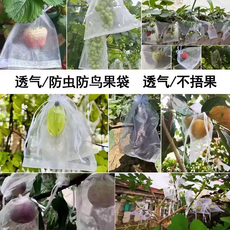 水果套袋果袋葡萄枇杷网套桃子芒果保护袋瓜果草莓防鸟防虫网袋