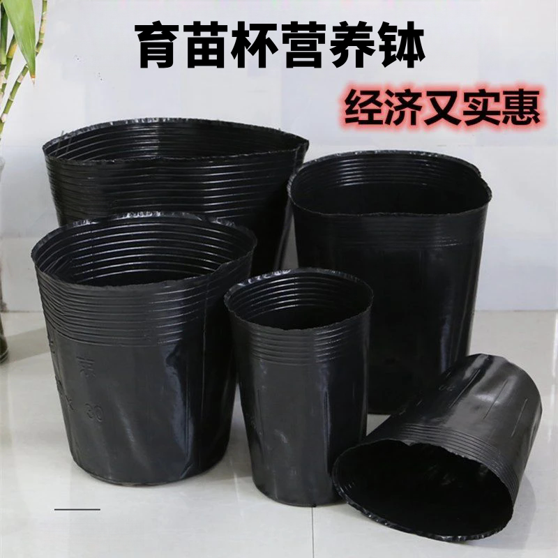 营养袋育苗袋一次性培苗黑塑料育苗盆营养钵营养杯育苗杯培育育种
