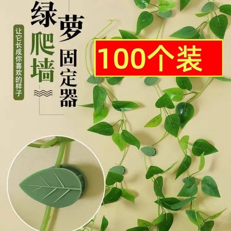 室内无痕绿萝爬藤固定器免钉卡扣自粘式挂钩墙上客厅藤蔓攀爬神器