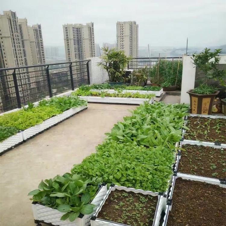特大屋顶阳台花园 种菜花盆 加深蔬菜种植箱菜园设备