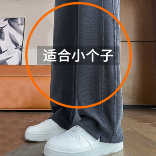 雪尼尔窄版阔腿裤女春秋2025新款小个子高腰休闲 九分直筒香蕉裤