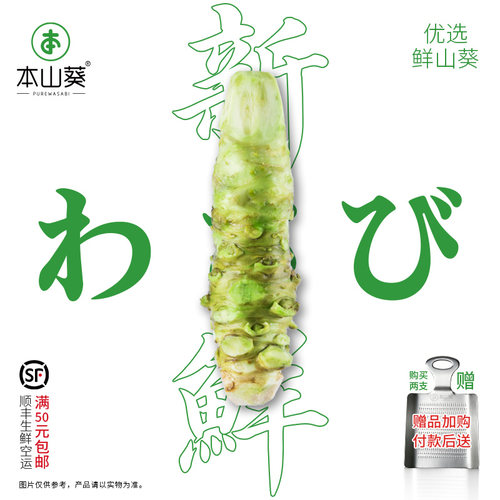 本山葵新鲜山葵厂家直销确保新鲜
