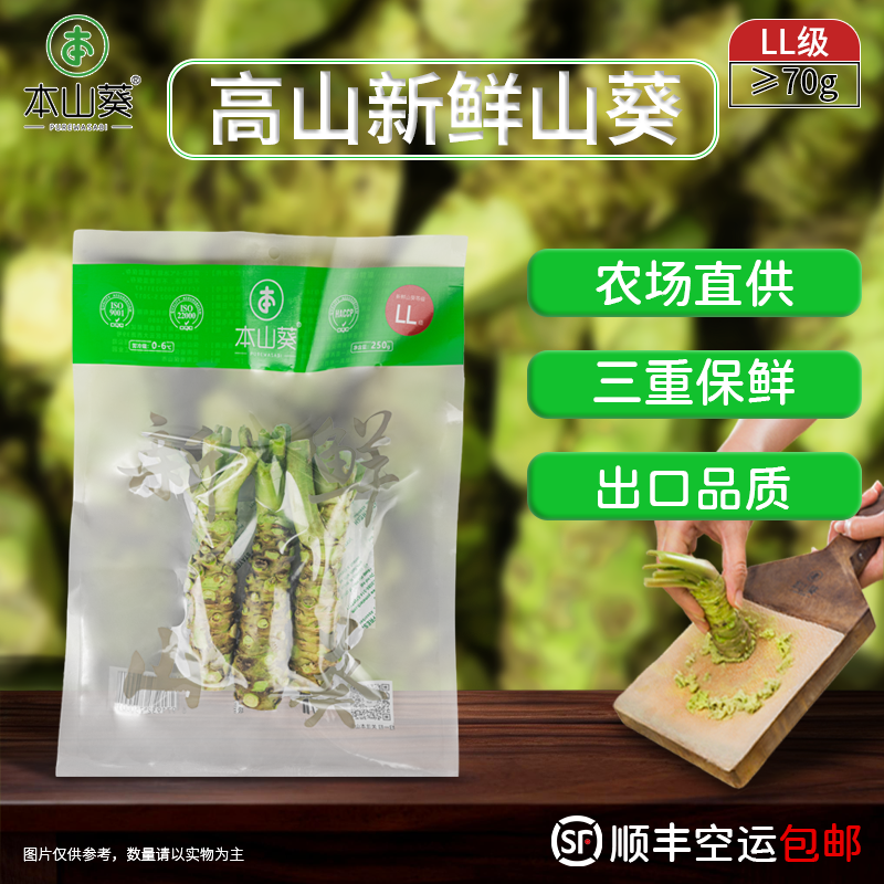 本山葵250g装优选新鲜山葵根日本进口品质鲜芥末辣根用于日料餐厅